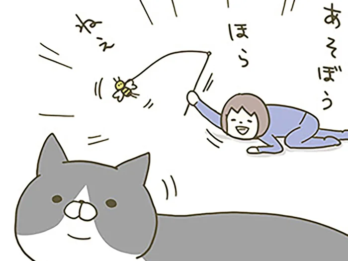 遊ぼう！ ほら！ ねえ！ ある夏の日、テンション高めに猫にかまったときのこと