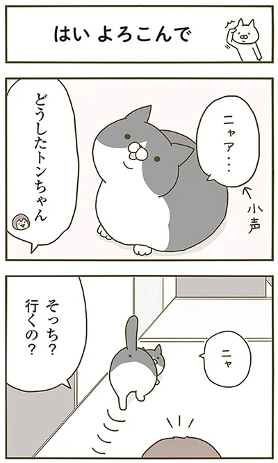 はいよろこんで