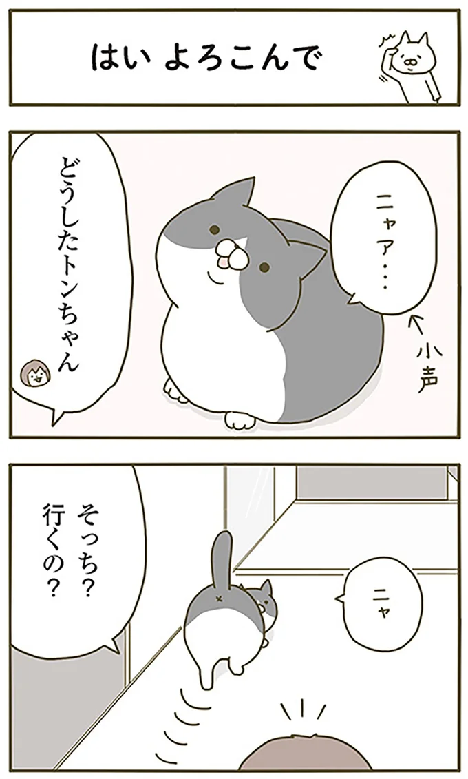 はいよろこんで
