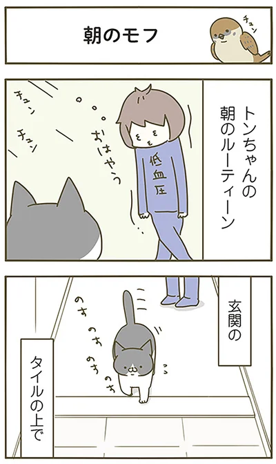 朝のモフ