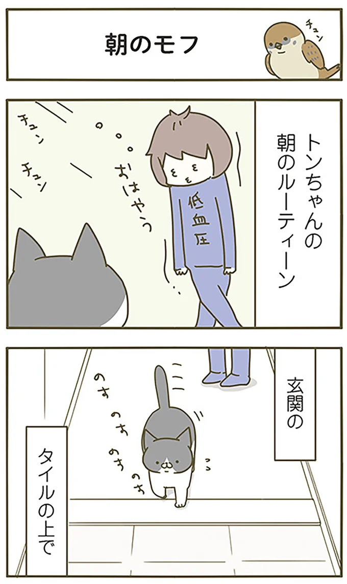 朝のモフ
