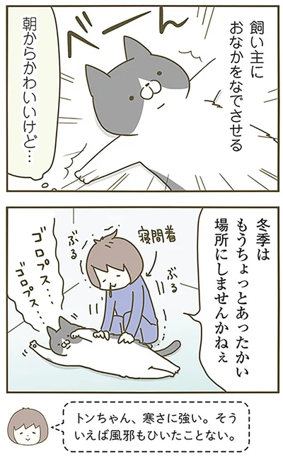 おなかをなでさせる