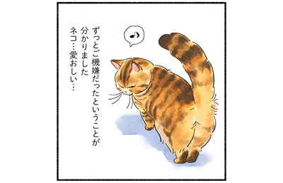 ネコ…愛おしい…