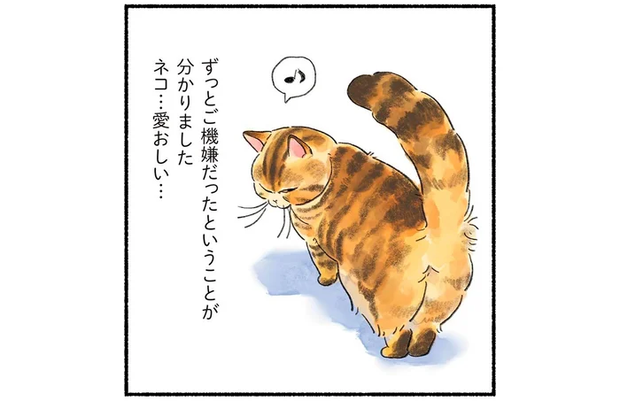 いつも不機嫌顔の我が家の猫が、しっぽを上げている理由