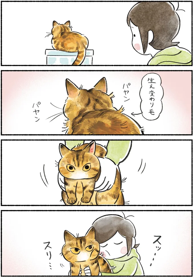 生え変わり毛