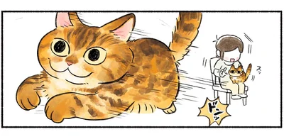 ドンッ