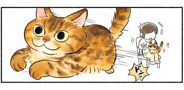 「もう用は…にゃい」ひざの上に猫がきたと喜んでいたら