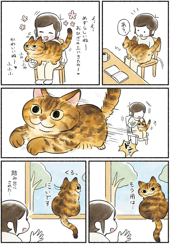 もう用は…にゃいです
