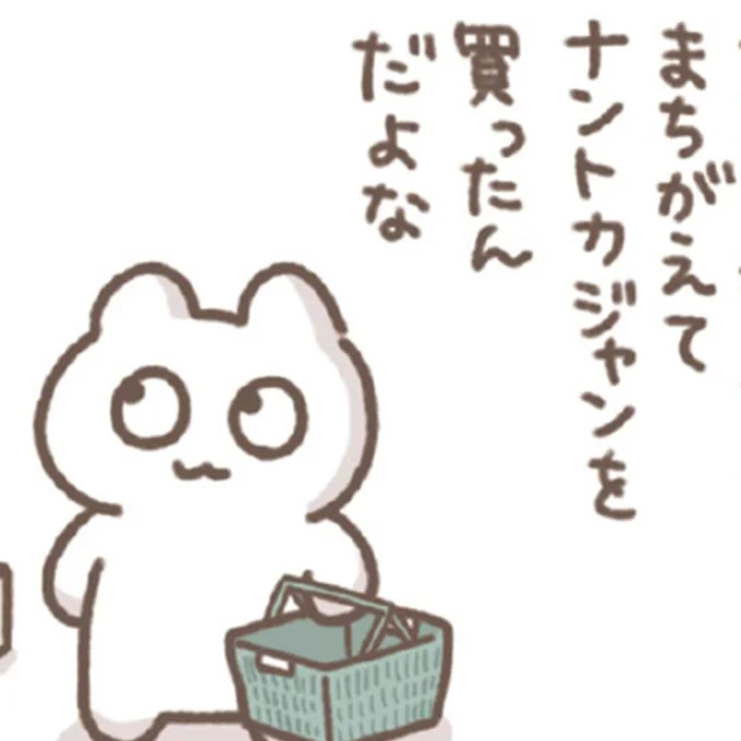 まちがえてナントカジャンを買ったんだよな