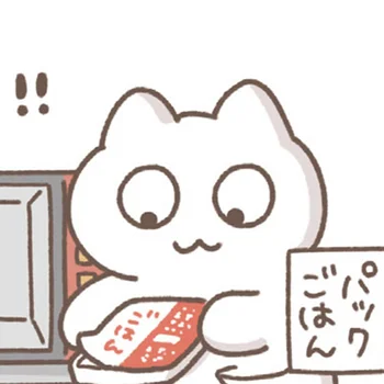 こういうのでいいんだよ！疲れ切った夜はパックごはんをチン