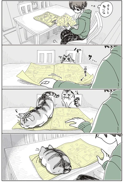 チラシ多いな