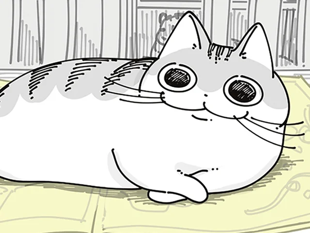 邪魔だけどどけるほどでもないな。チラシの上を陣取るネコと気にしない飼い主