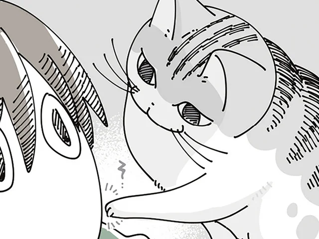 ものすごく優しい起こし方をしてくるネコ。徹夜明けの日の話