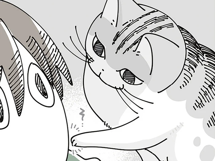 ものすごく優しい起こし方をしてくるネコ。徹夜明けの日の話