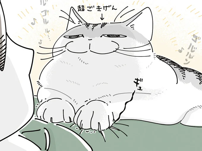 ネコが乗ってきて