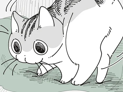 飼い主の服の上で