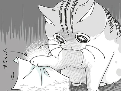 粘着性のあるものが…