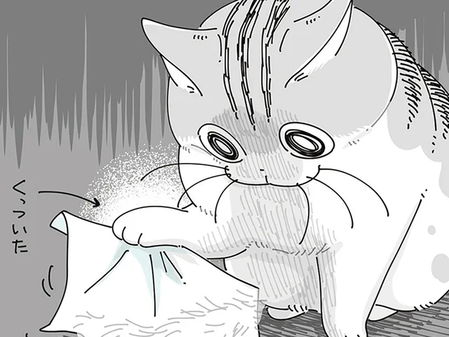 くっついて取れない!! 粘着性のあるものが自分の邪魔をしたときの猫の行動
