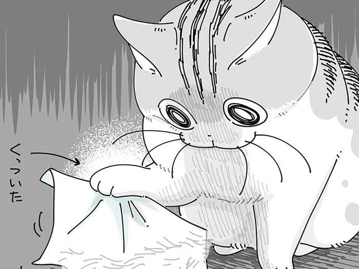 くっついて取れない!! 粘着性のあるものが自分の邪魔をしたときの猫の行動