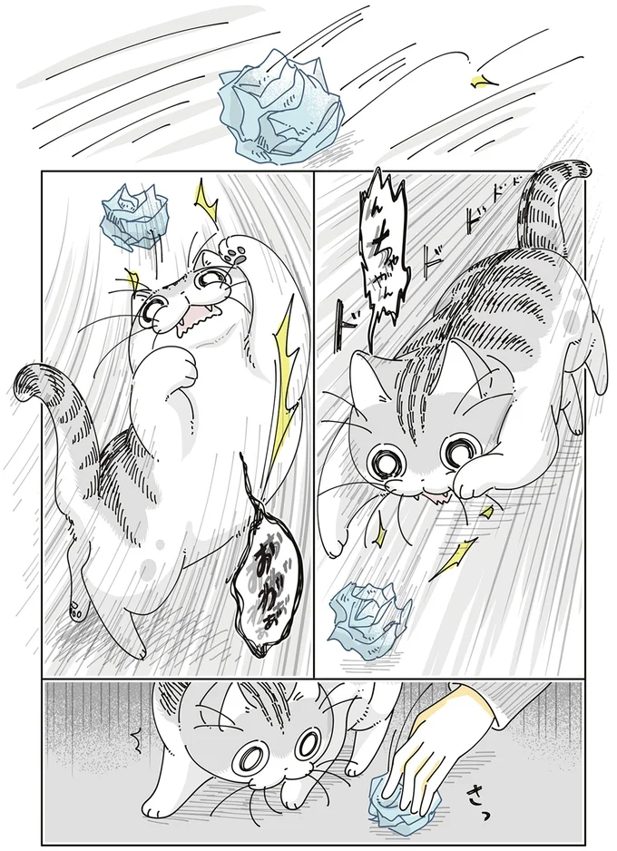 紙くずに興奮