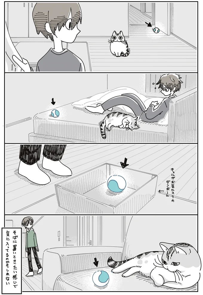 お気に入りの段ボールに