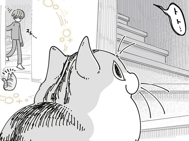 飼い主の起床を察知し待っているネコ。しかしなかなか降りてこなくて