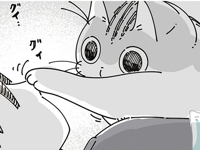 ネコに好き勝手される
