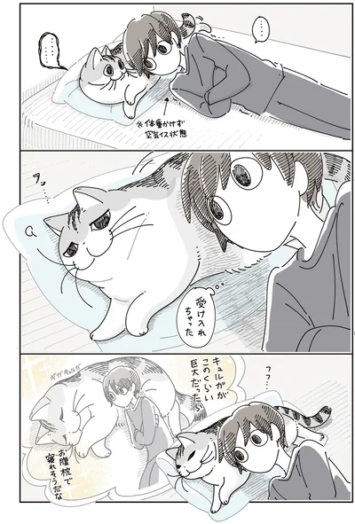 受け入れちゃった