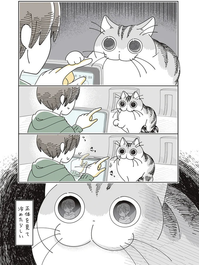 正体を見て冷めたらしい…