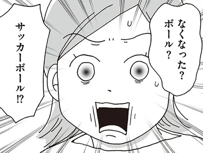 なくなった？ボール？