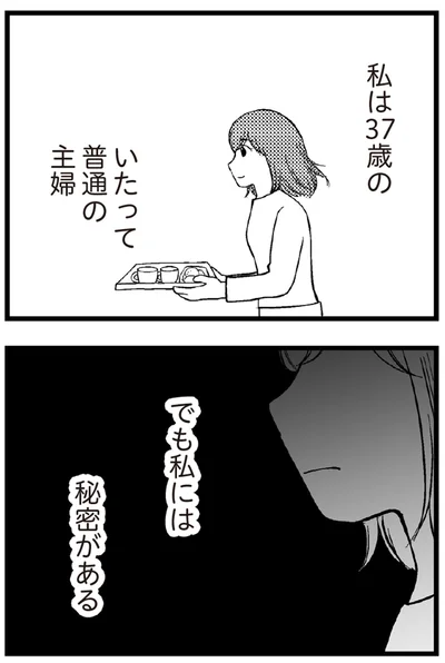 私は37歳のいたって普通の主婦