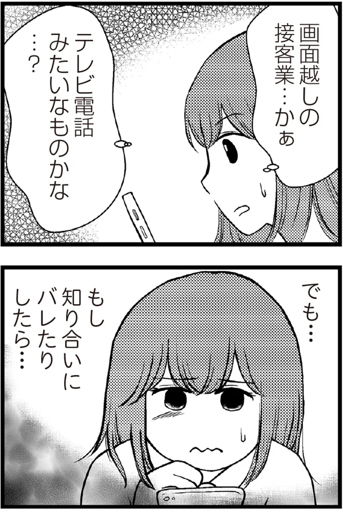 テレビ電話みたいなものかな