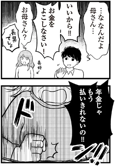 な、なんだよ母さん...