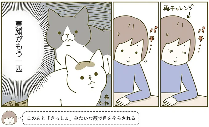 真顔がも一匹
