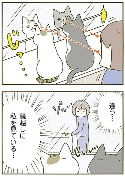 違う…