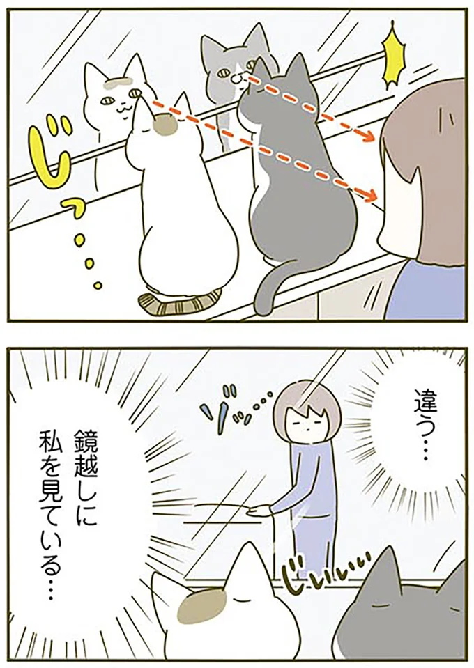 違う…