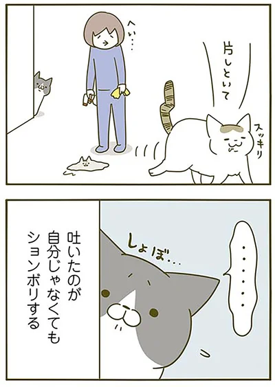 しょぼ…