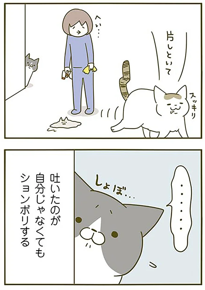 しょぼ…