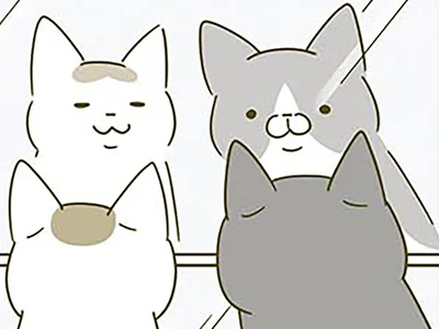 鏡を見るのが好きな猫たち