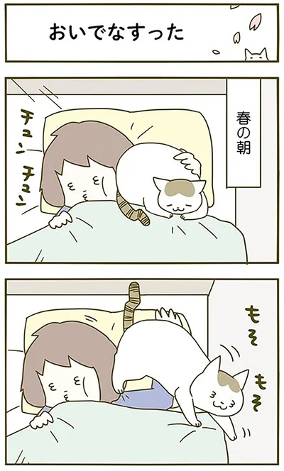 おいでなすった