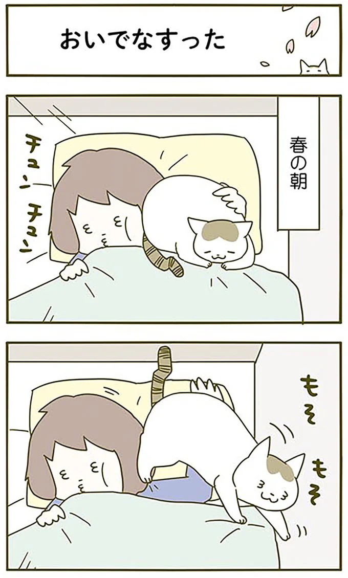 おいでなすった