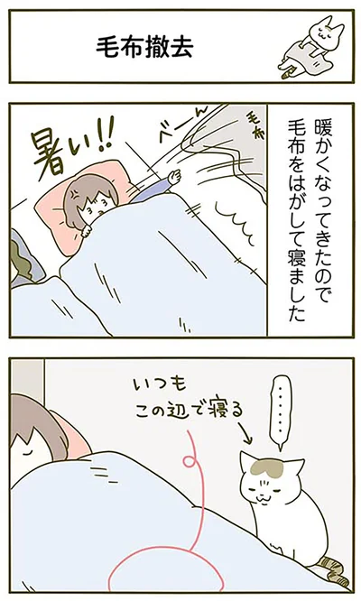 毛布撤去