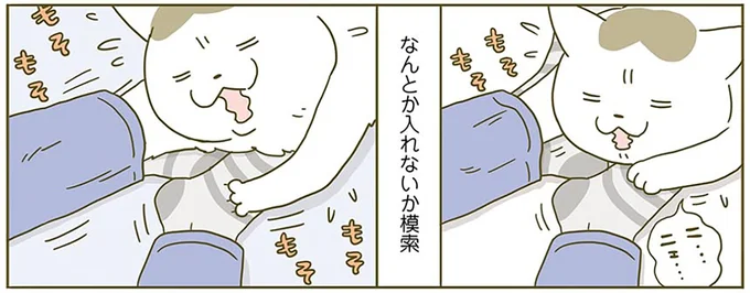 なんとか入れないか模索