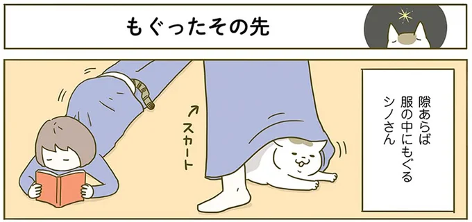 もぐったその先