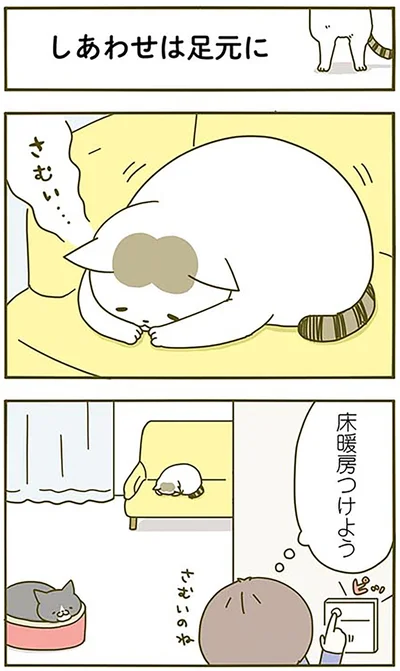 しあわせは足元に