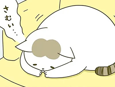寒がる猫