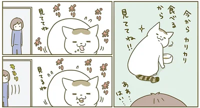 今からカリカリ食べるから