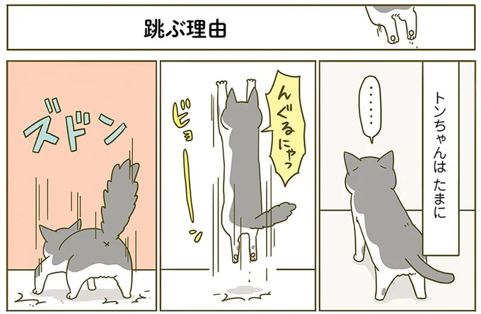 飛ぶ理由
