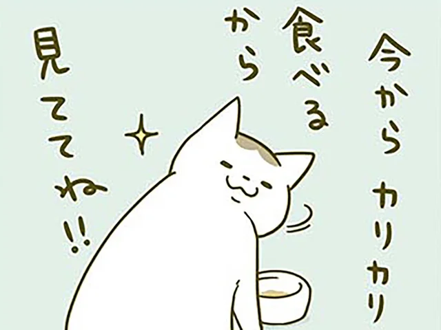 「カリカリ食べるから見ててね」食事の様子を見てほしい猫 VS 仕事したい飼い主