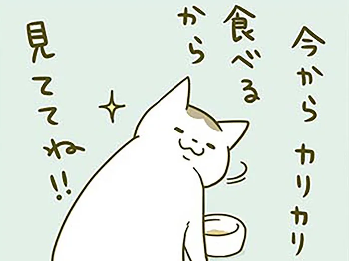 「カリカリ食べるから見ててね」食事の様子を見てほしい猫 VS 仕事したい飼い主